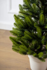 Ziemassvētku egle podā Lapland - Image 3