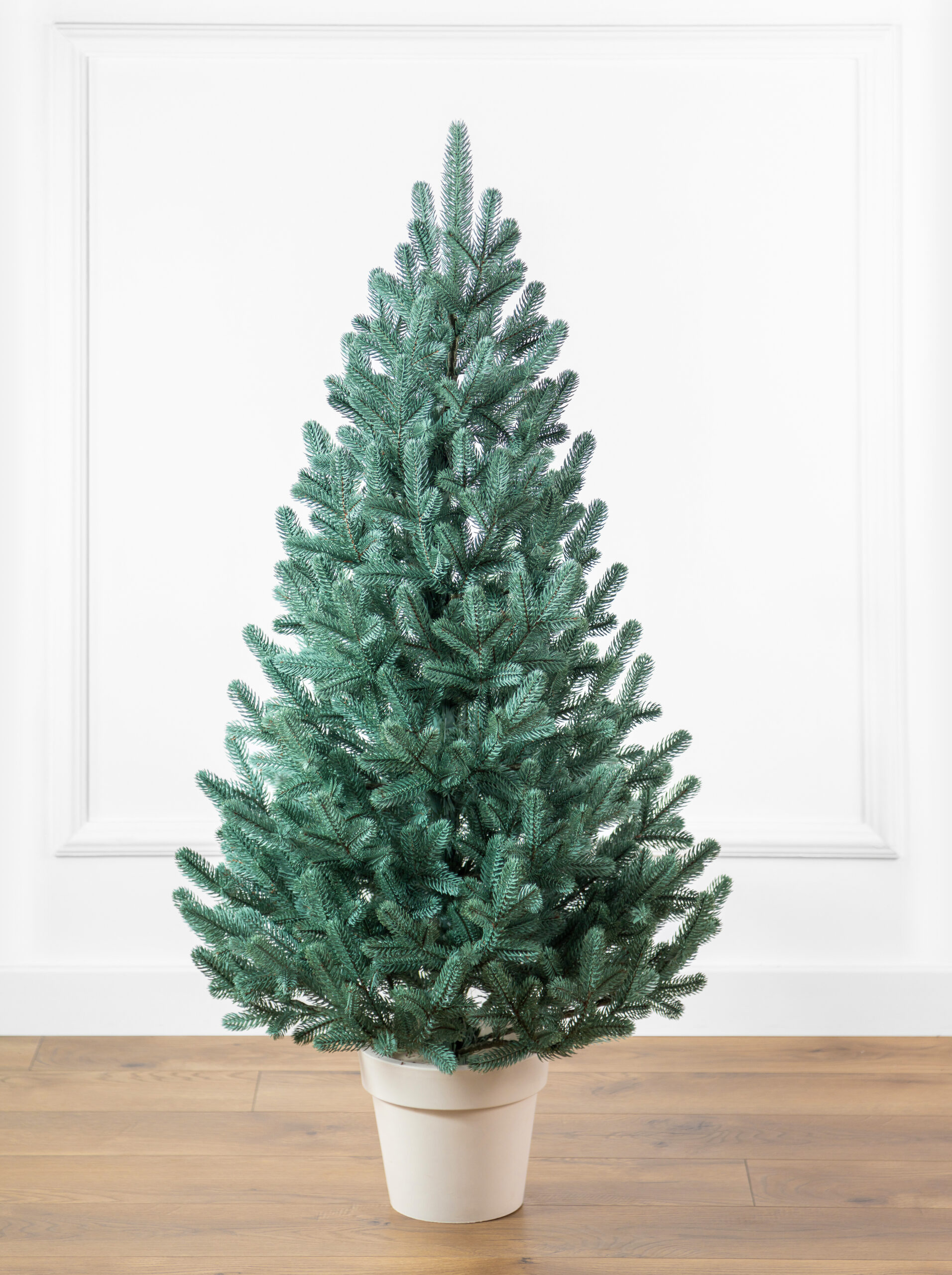 Vienna Blue In Pot 1.1m Ziemassvētku egle podā Vienna - Image 1