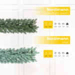 Ziemassvētku virtene Nordmann